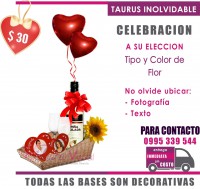 DISEÑO CELEBRACIÓN 